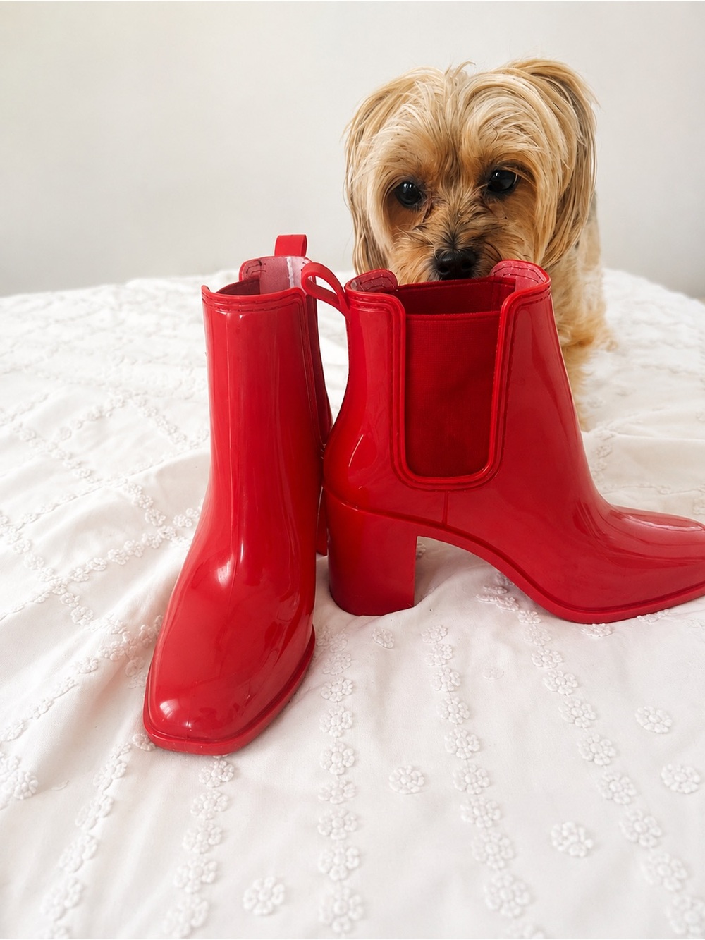 Jeffrey Campbell Red Jelly Rain Boots Ankle Booties Size 7 - Picture 5 of 7